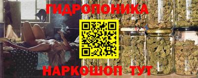 стаф Каменск-Уральский