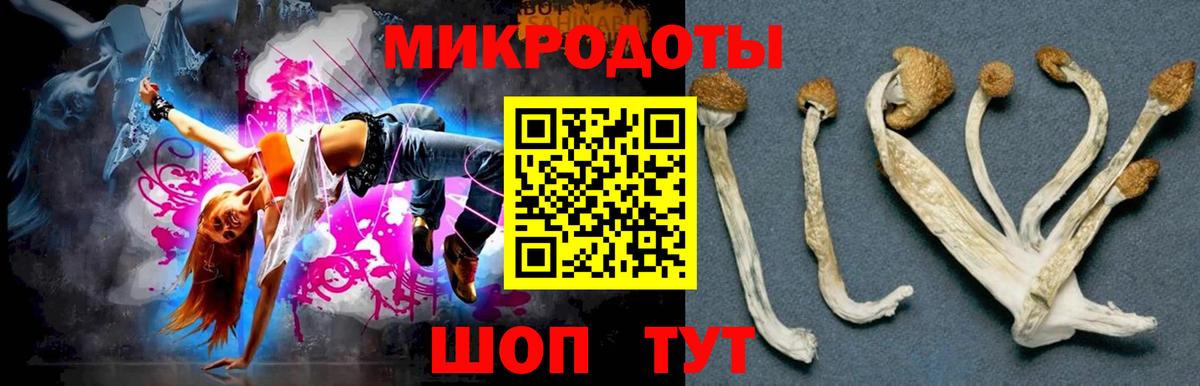Псилоцибиновые грибы мицелий  Псилоцибиновые грибы Psilocybine cubensis  Вход с VPN  Клинцы 